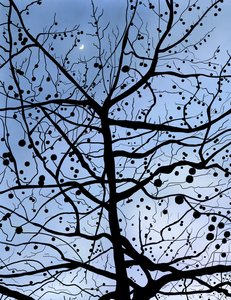 London PlaneTree and Moon, Brooklyn (grafika cyfrowa) autorstwa Evan Sklar