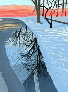 Kałuża i śnieg w parku, Brooklyn (grafika cyfrowa)