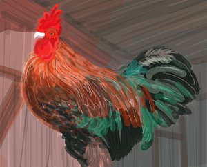 Kogut w stodole, 2018 (narysowany ręcznie na iPadzie ołówkiem Apple)