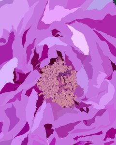 Piwonia drzewiasta, ok. 2020-24 (grafika cyfrowa)