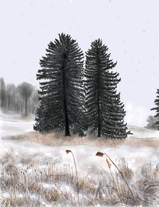 Wedded Pines autorstwa Evan Sklar