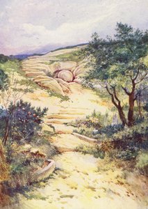  autorstwa Evelyn Stuart Hardy