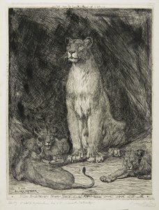 Siedząca lwica i trzy młode, 1888 autorstwa Evert van Muyden