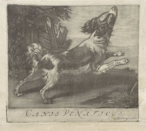 skaczący pies Canis Venaticus (tytuł na obiekcie) autorstwa Evert van Sweinen