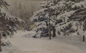 Zima na wyspach Sankt Petersburga, 1912 autorstwa Evgeni Ivanovich Stolitsa
