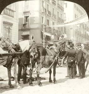 Trener stanowy, Calle Mayor, Madryt.