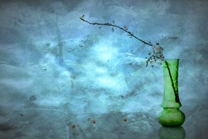 Ciche niebieskie kwiaty autorstwa Eyal Amer