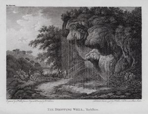 The Dropping Well, Yorkshire (grawerowanie) autorstwa F. (after) Nicholson