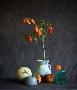 Pomarańczowe pomidory – rustykalna martwa natura