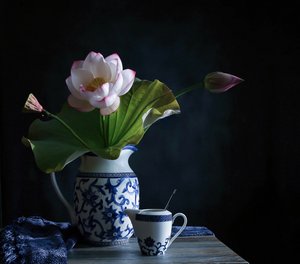 Spokojna kompozycja z lotosów autorstwa Fangping Zhou