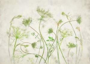 Delikatne zielone motywy botaniczne autorstwa Fangping Zhou