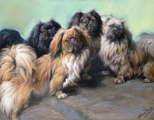 Zepsute Darlings (kolorowa kreda)