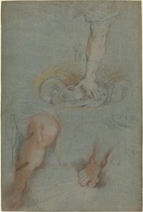Studia dla sługi w „Ostatniej wieczerzy” autorstwa Federico Barocci