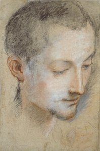 Studium głowy młodego mężczyzny, koniec XVI wieku autorstwa Federico Barocci