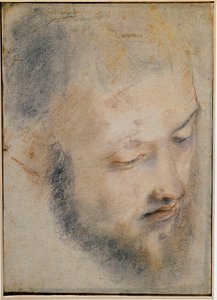 Studium głowy Rysunek Barocci autorstwa Federico Barocci