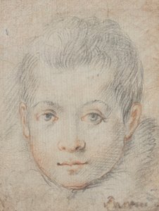 Głowa chłopca autorstwa Federico Zuccaro