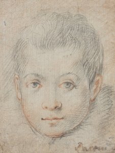  autorstwa Federico Zuccaro