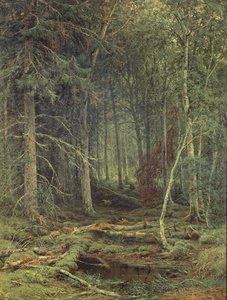 Bagno w lesie, jesień, 1872 r.