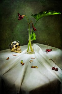 Gotycka czaszka Vanitas autorstwa Felice Angelino