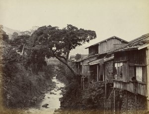 Rodzime miasto Nagasaki autorstwa Felice Beato