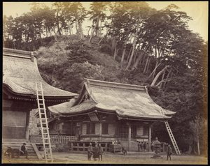 Świątynia Hachimanu, Kamakura autorstwa Felice Beato