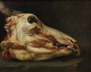 Skórzana głowa młodego byka, ok. 1690 (olej na płótnie) autorstwa Felice Boselli