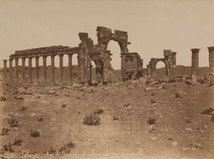 Palmyra: widok ogólny Łuku Triumfalnego i kolumnady autorstwa Félix Bonfils