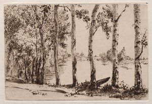 Aspens na brzegu Sekwany autorstwa Felix Bracquemond