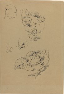 Pisklęta autorstwa Felix Bracquemond