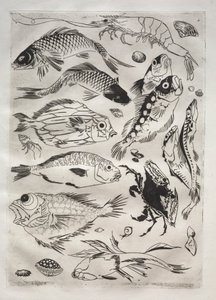 Serwis obiadowy (usługa Rousseau): Ryba (nr 24) autorstwa Felix Bracquemond