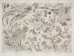 Serwis obiadowy (usługa Rousseau): Kwiaty (nr 23) autorstwa Felix Bracquemond