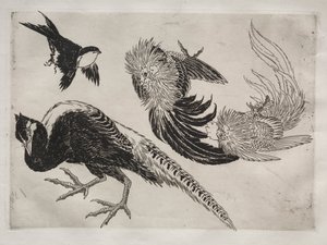 Serwis obiadowy (usługa Rousseau): Bażanty i ptaszek (nr 18) autorstwa Felix Bracquemond