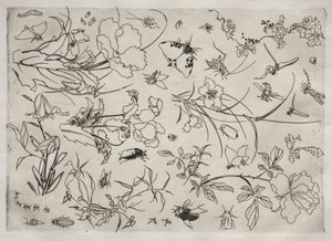 Serwis obiadowy Serwis Rousseau: Kwiaty i Owady nr. 15, 1866. autorstwa Felix Bracquemond