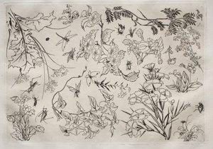 Serwis obiadowy Usługa Rousseau: Kwiaty nr. 22, 1866.