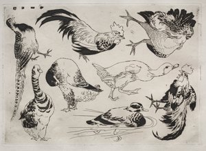 Serwis obiadowy Serwis Rousseau: Koguty, kaczki itp. nr. 13, 1866. autorstwa Felix Bracquemond