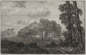 Krajobraz, po francusku autorstwa Felix Bracquemond