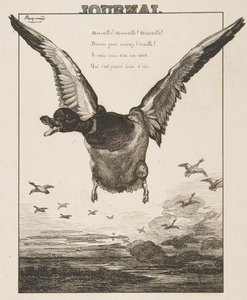 Kaczka, 1856. autorstwa Felix Bracquemond