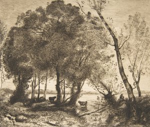 Jezioro, 1861. autorstwa Felix Bracquemond