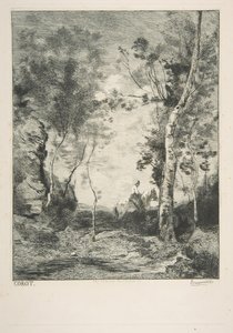 Biały koń, 1858. autorstwa Felix Bracquemond
