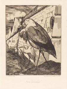 Les Cigognes (Bociany) autorstwa Felix Bracquemond