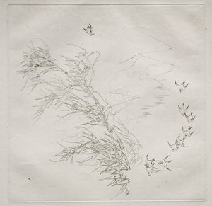 Serwis paryski Serwis Haviland: Burza nr. 8, 1875. autorstwa Felix Bracquemond