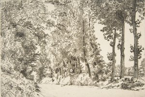 Rue des Bruyères, w Sèvres, 1868. autorstwa Felix Bracquemond