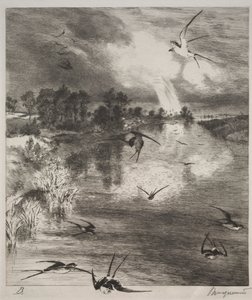 Jaskółki autorstwa Felix Bracquemond