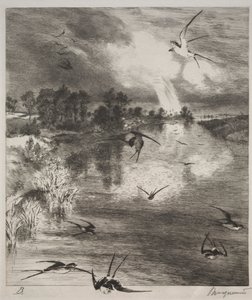 Jaskółki, 1882. autorstwa Felix Bracquemond