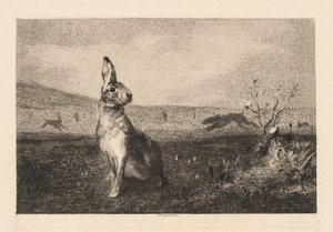 Zając autorstwa Felix Bracquemond