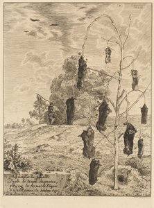 Krety autorstwa Felix Bracquemond