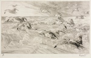 The Seagulls   1307845   pl       polish Successfully Translated  Original: Leon Gambetta, 2nd plate Translat: Leon Gambetta, 2nd plate 1242925 pl polish Successfully Translated Original: Plate 22: Wall Decoration: From Portfolio "Spanish Colonial Designs  autorstwa Felix Bracquemond