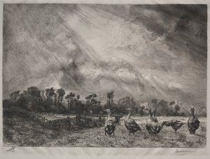 Chmura burzowa autorstwa Felix Bracquemond
