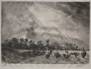 Chmura burzowa, 1878-1887. autorstwa Felix Bracquemond