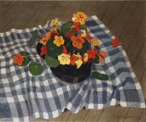 Miska Nasturcji autorstwa Felix Edouard Vallotton